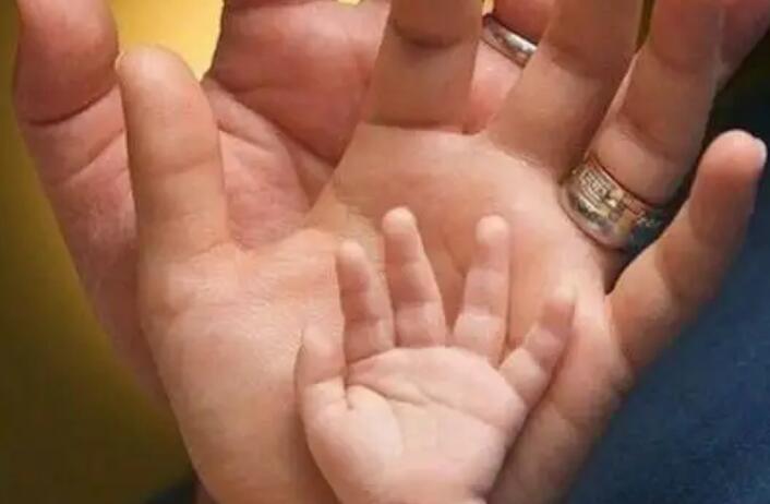 描写亲情的优美段落