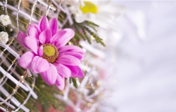 魅力女人励志的经典语录文案