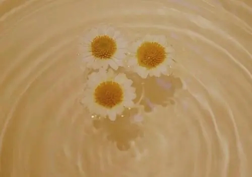 早上好工作问候语