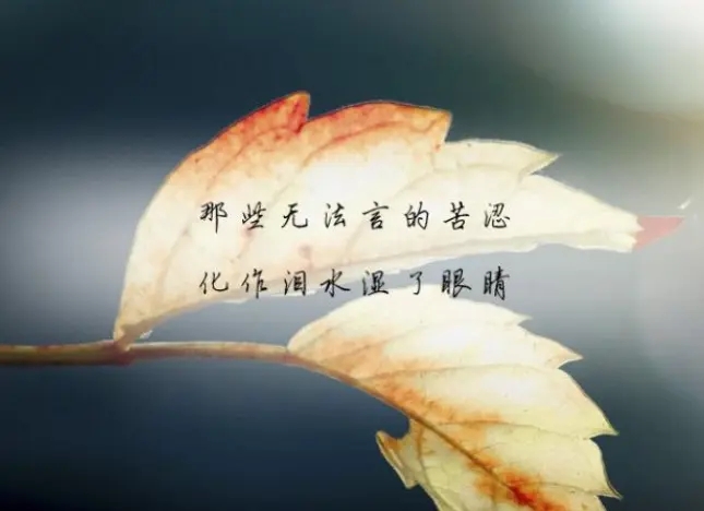 伤心又无奈的句子文案