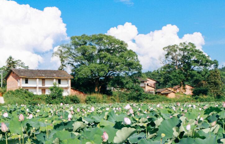 心情不好想家了怎么发朋友圈