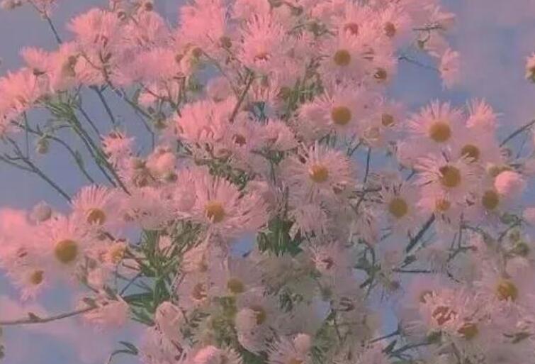 读书笔记五年级