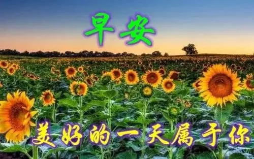 发朋友圈的问候语