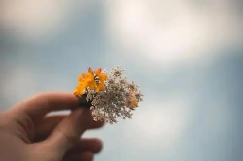 感性的话语悲伤