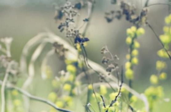 好文采句子文案鼓励