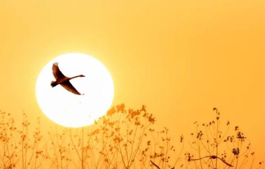 八个字的句子文案伤感