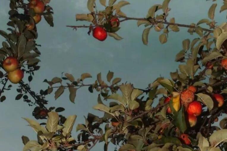 关于记忆的唯美句子文案