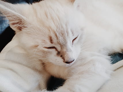 让人开心的幽默句子文案