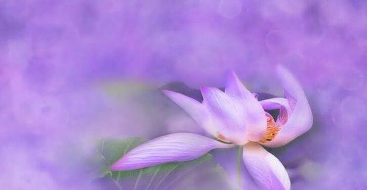 新字开头的诗句文案