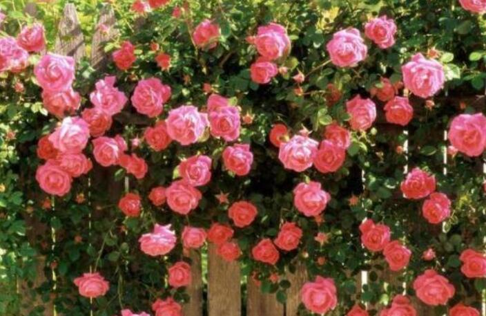 抖音适合晚上发的短句