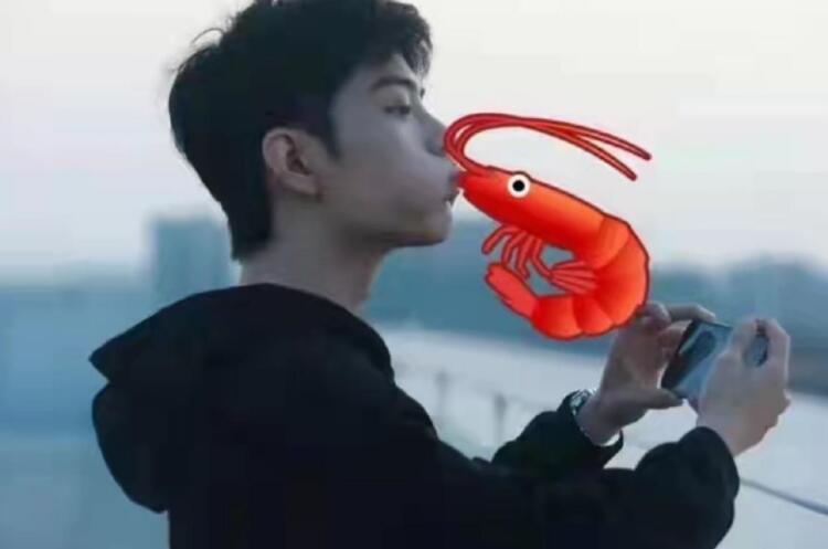 小飞侠保护肖战句子文案