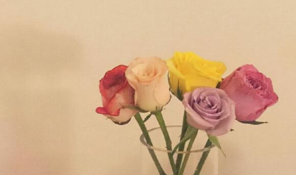 追女孩子一段感动的话