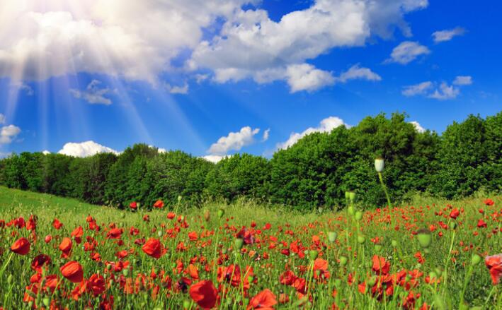 女人心态阳光的句子文案早安