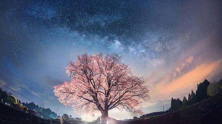 夜深等待一个人的句子文案