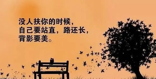 最难懂的是人心的句子文案