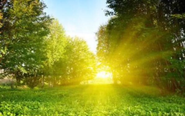 人生格言励志简短