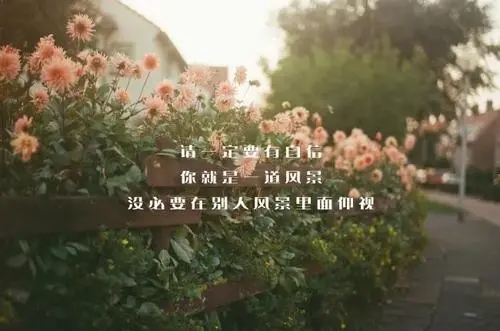 保护一个人的霸气句子文案