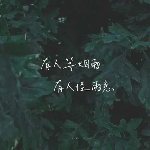 描写雨天的诗句文案