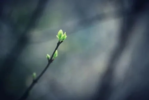 关于立志的名言警句