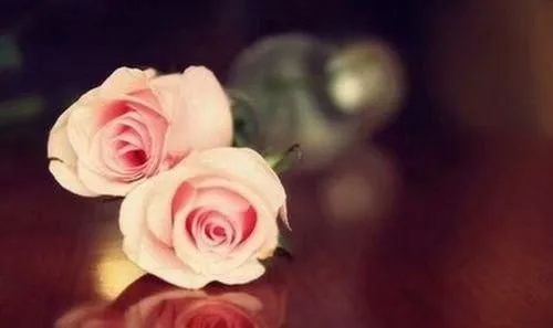 我承认我想你了的说说文案