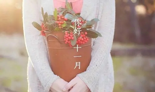 形容11月的句子文案唯美