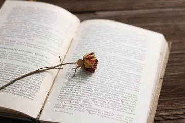 名言警句好句文案摘抄大全