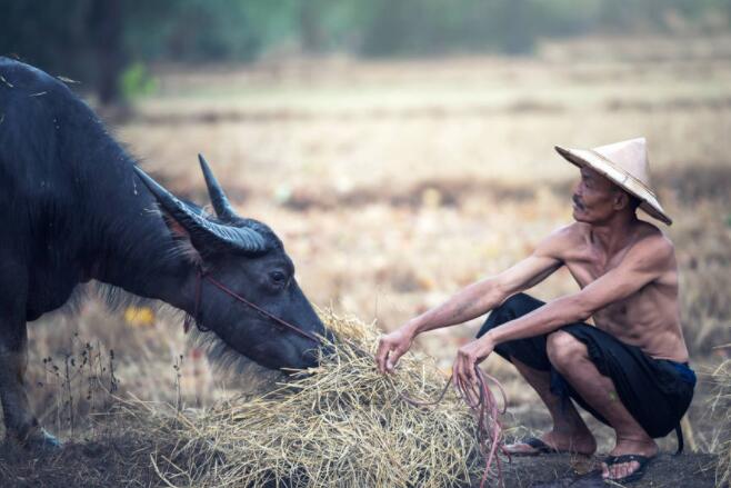 描写父亲的句子文案