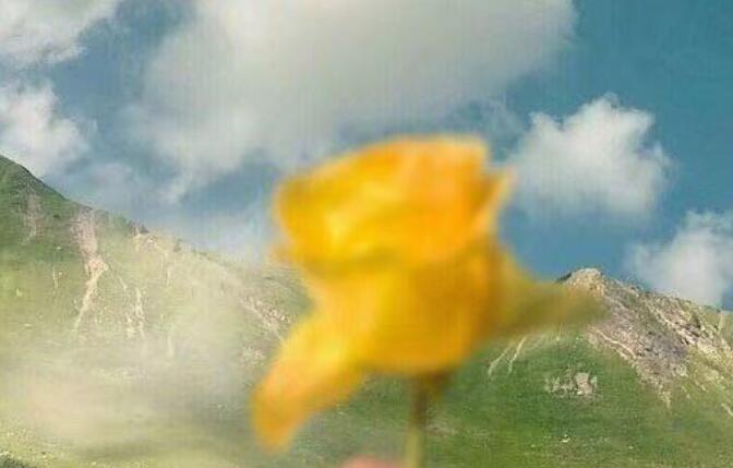 名人唯美语录文案