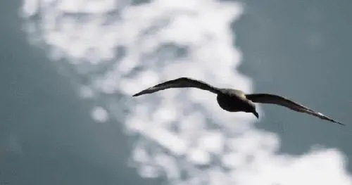 经典短语20字以内