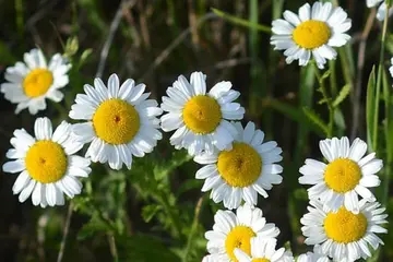 安抚失落情绪的句子文案