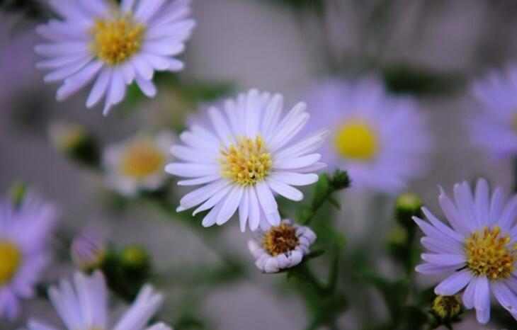 微商早安短句配图正能量