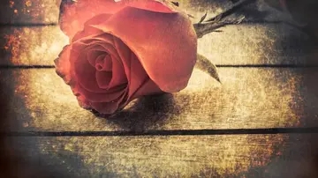 极度压抑绝望的句子文案