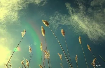 悼念老人去世的短句子文案