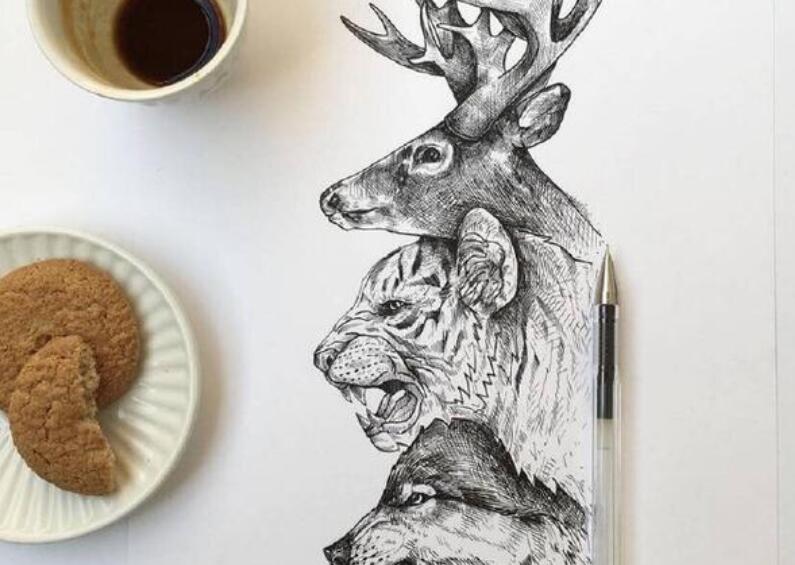 鼓励努力读书的句子文案