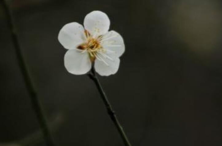 一转身就是一辈子伤感句子文案