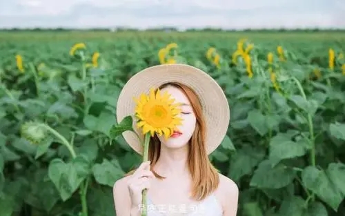 女生阳光唯美简短语录文案