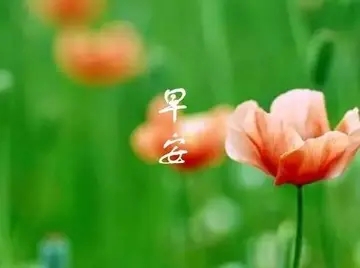 周末早上祝福语