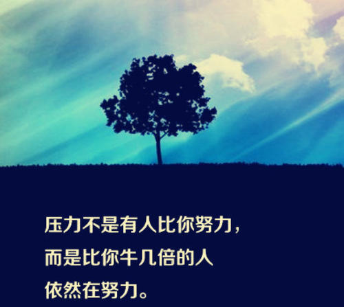 永远看不到自己缺点人的句子文案