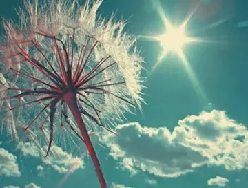 幽默风趣的晚安句子文案