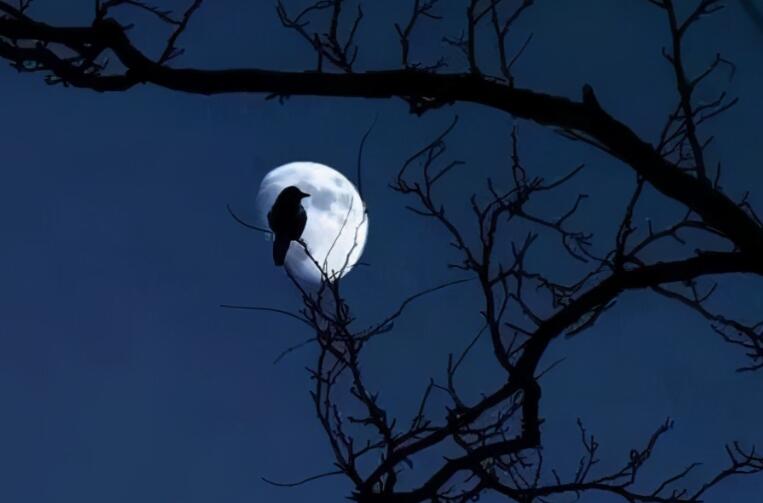 男人心累的诗句文案