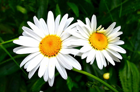 给对象说的甜甜的话