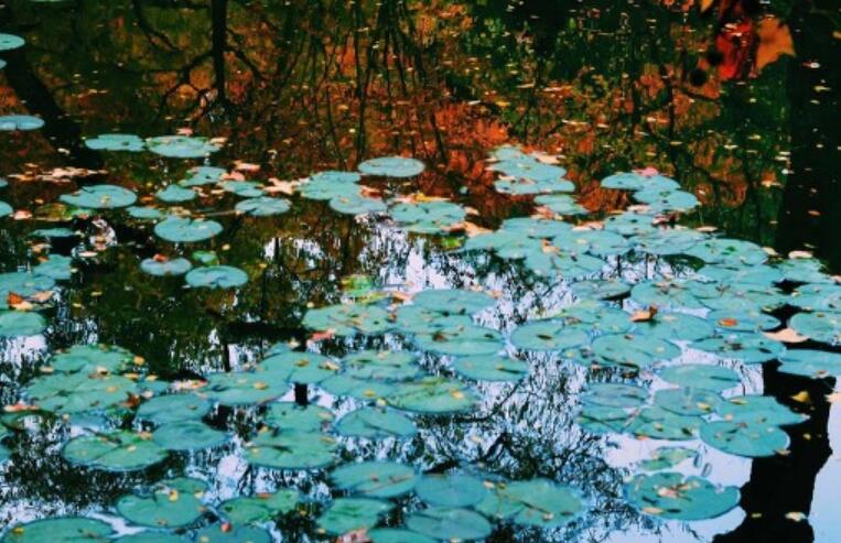 优美散文摘抄短句