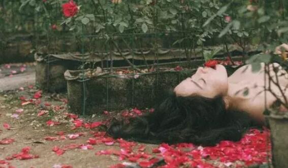 人都败给了现实的句子文案