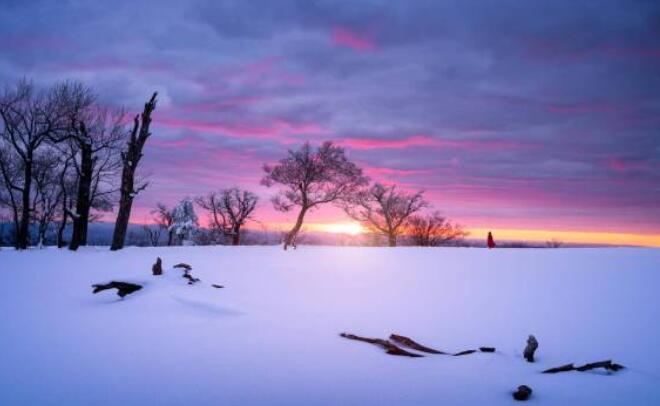 描写冬天的句子文案8个字