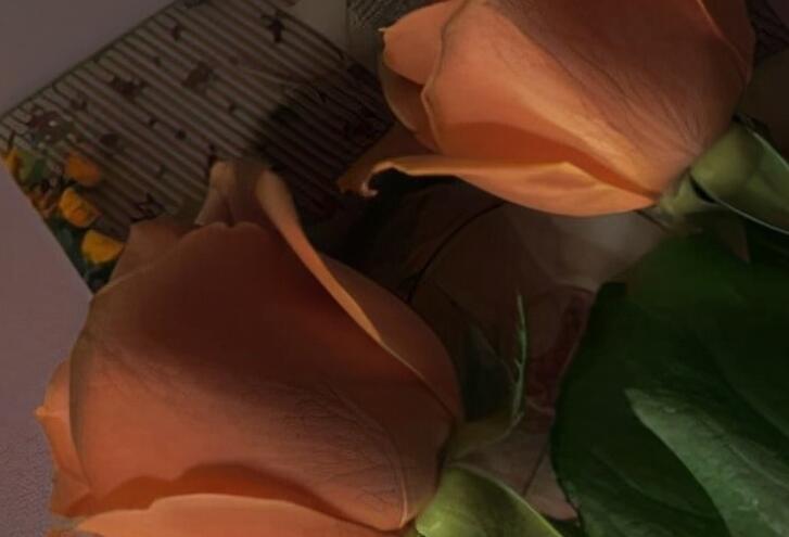 九月你好经典语录文案