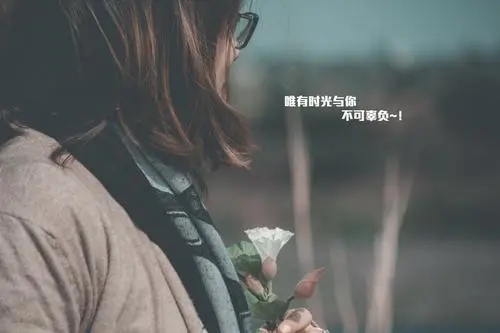 优美句子文案较长