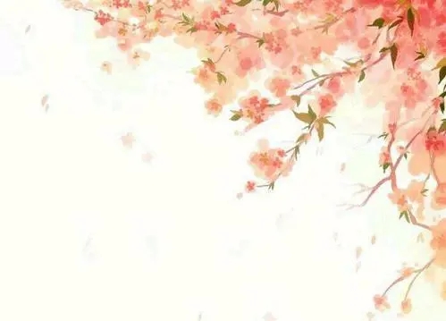 八字唯美句子文案古风励志