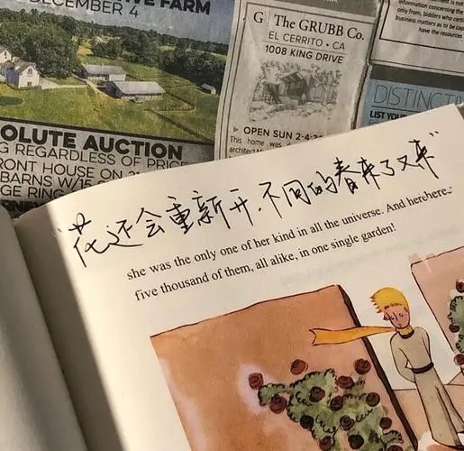 高质量文案句子