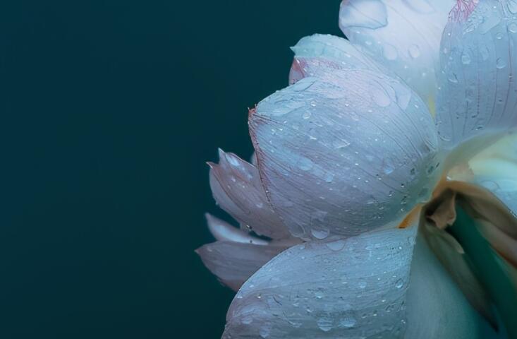 关于伟人的诗句文案