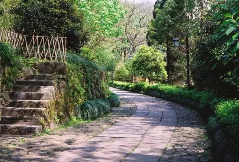 表达无奈的诗句文案